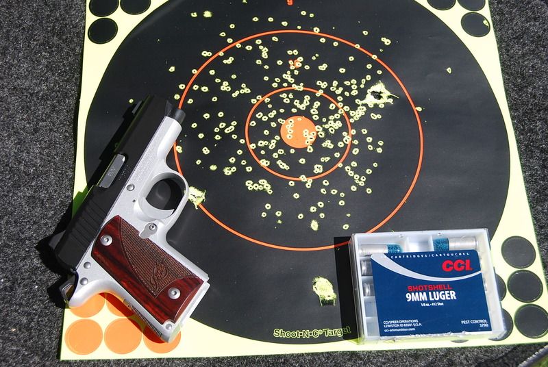9mm Shotshells Test 1911Forum